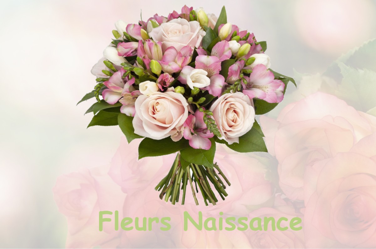 fleurs naissance VIGOULET-AUZIL