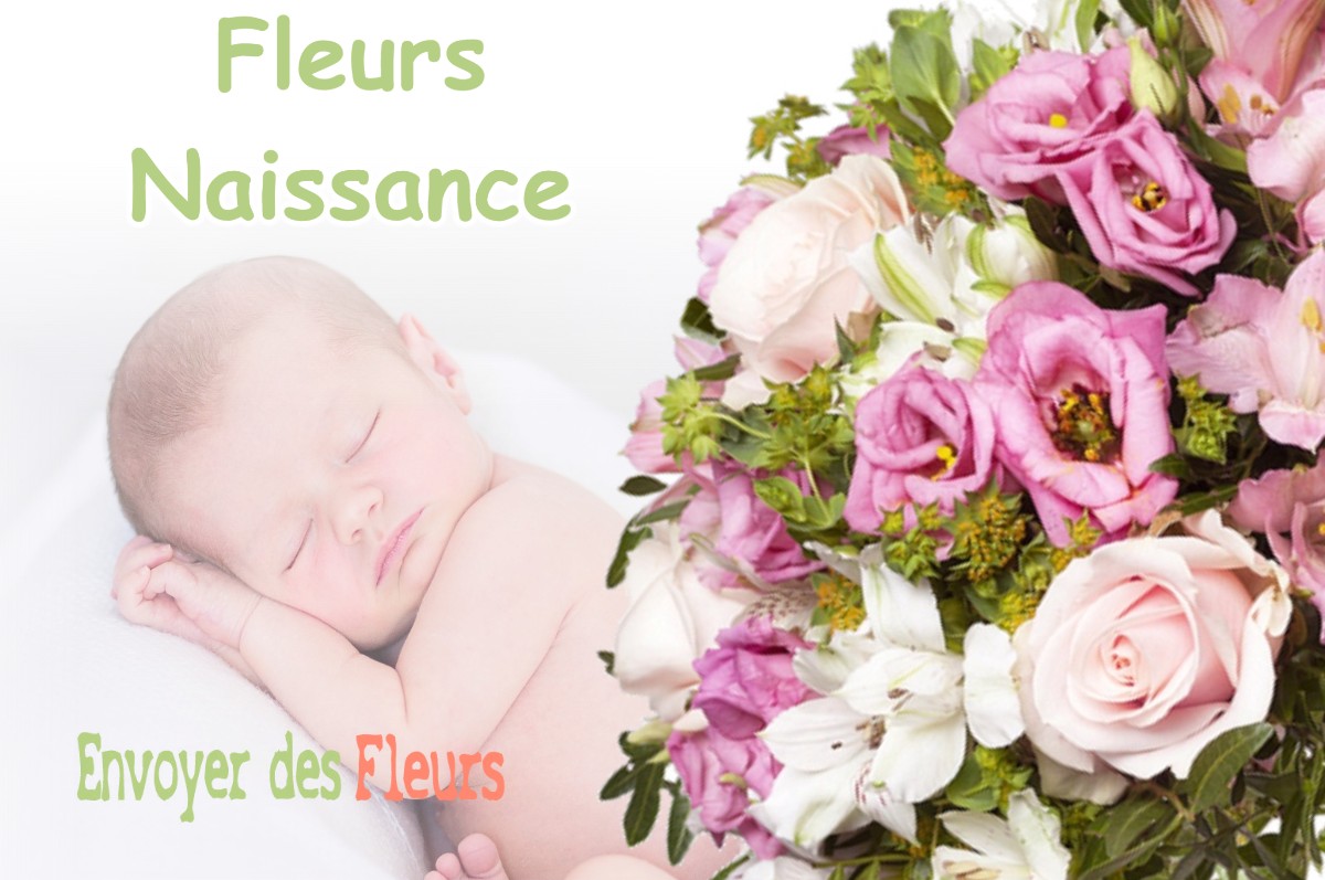 lIVRAISON FLEURS NAISSANCE à VIGOULET-AUZIL