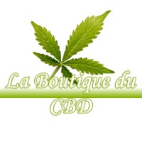 LA BOUTIQUE DU CBD VIGOULET-AUZIL 